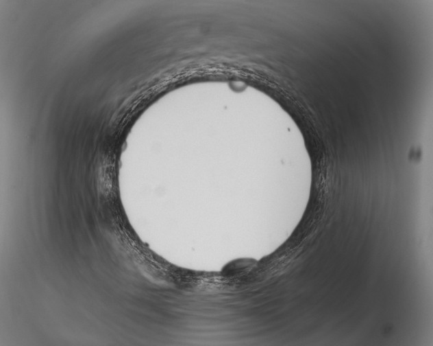 X0000115301490200911301501