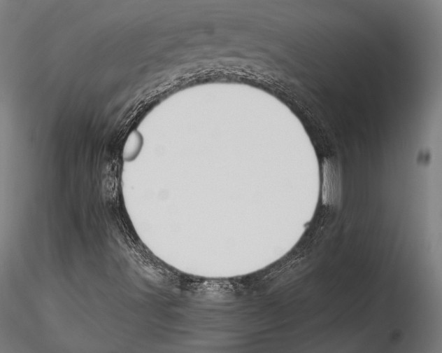 X0000115301491200911301501