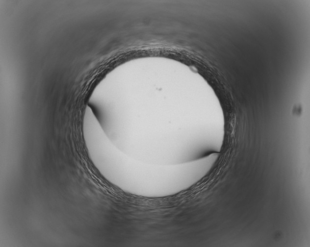 X0000115301493200911301501