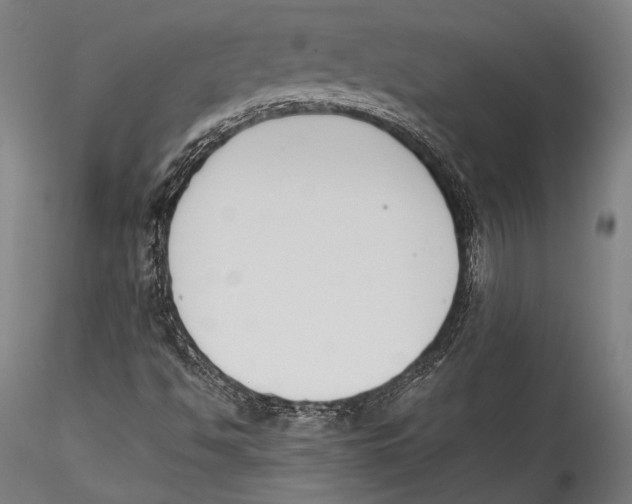 X0000115301494200911301501