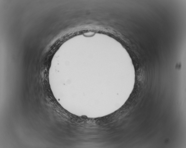 X0000115301495200911301501