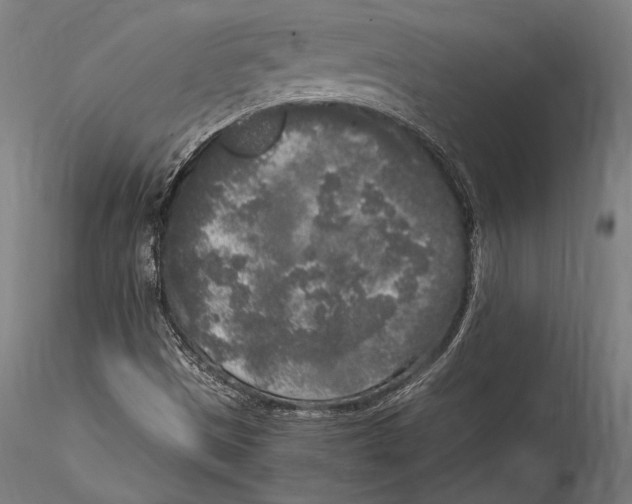 X0000115301497200911301501