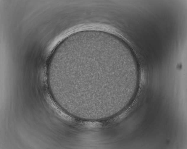 X0000115301498200911301501