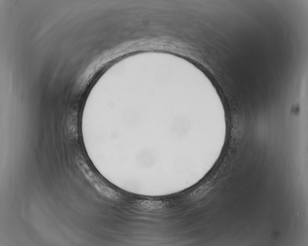 X0000115301499200911301501