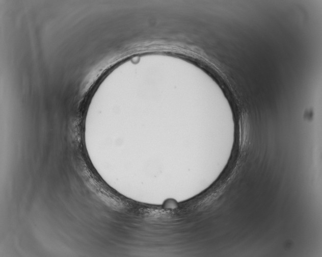 X0000115301501200911301501