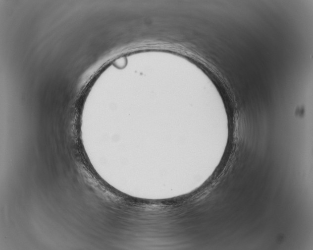 X0000115301502200911301501