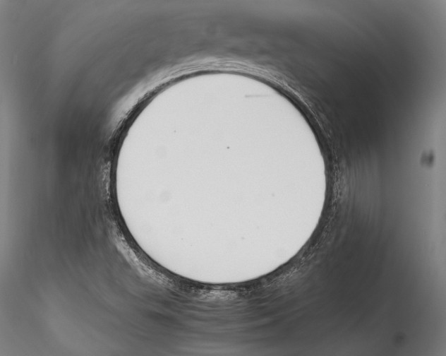 X0000115301503200911301501