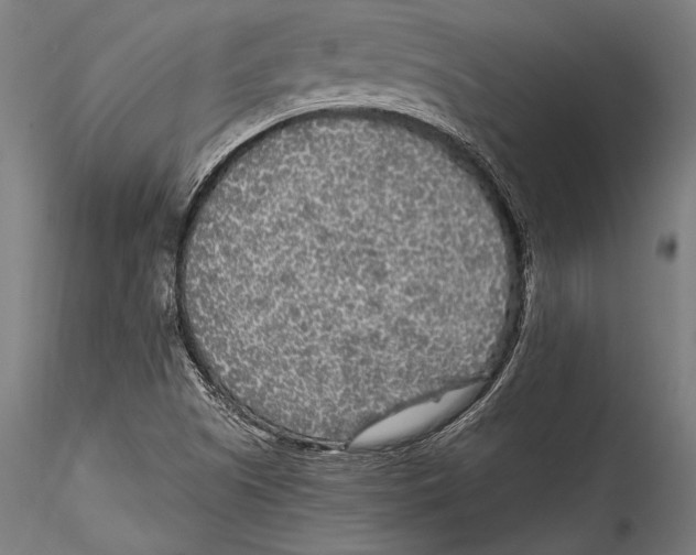 X0000115301505200911301501