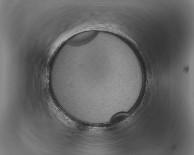 X0000115301506200911301501