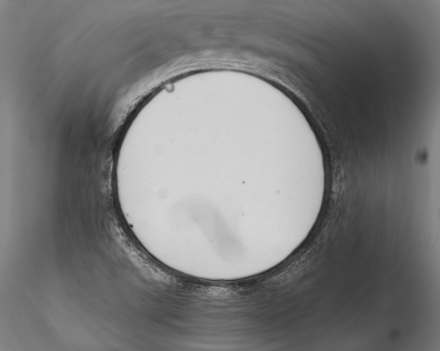 X0000115301507200911301501