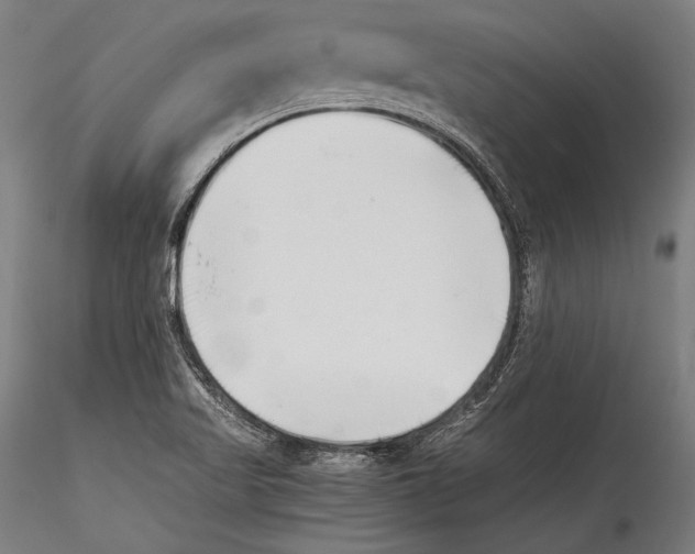 X0000115301509200911301501