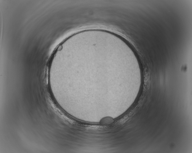 X0000115301510200911301502