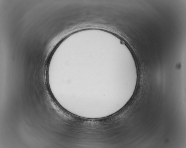 X0000115301511200911301502