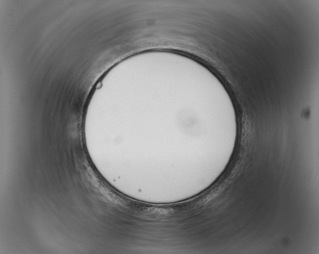 X0000115301513200911301502