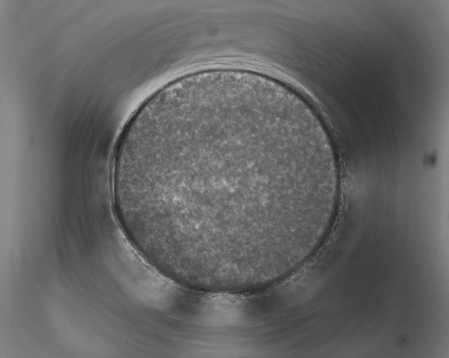 X0000115301514200911301502