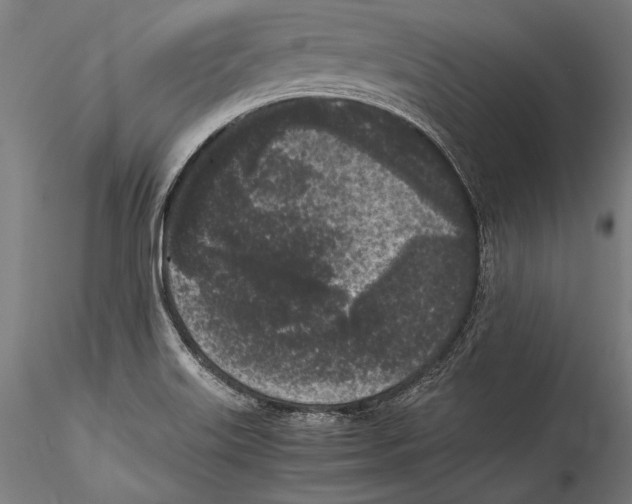 X0000115301515200911301502