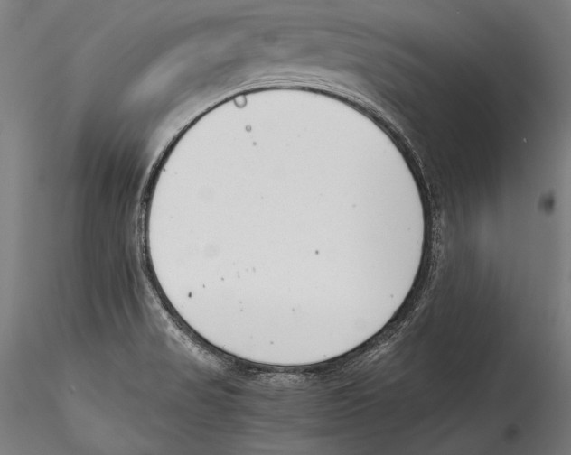 X0000115301517200911301502