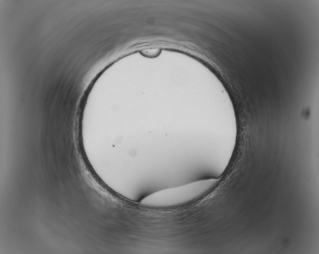 X0000115301518200911301502