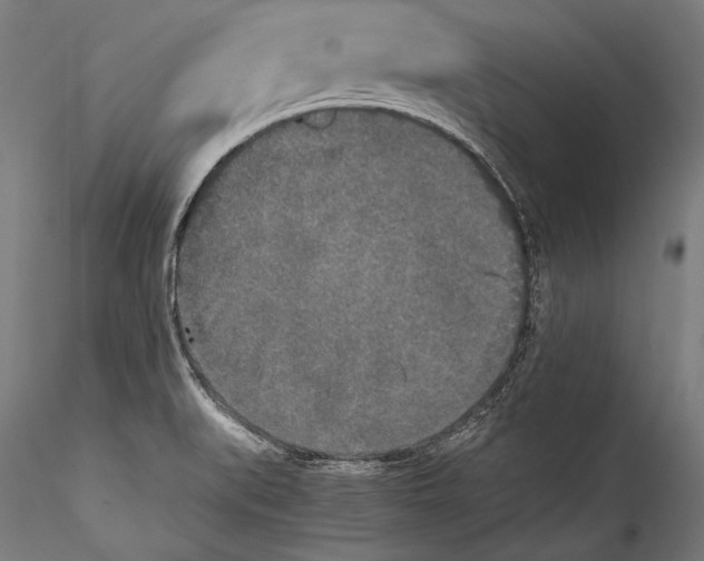 X0000115301519200911301502