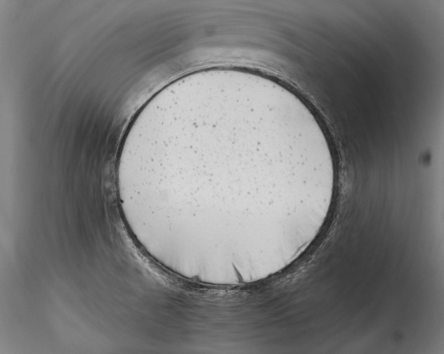 X0000115301521200911301502