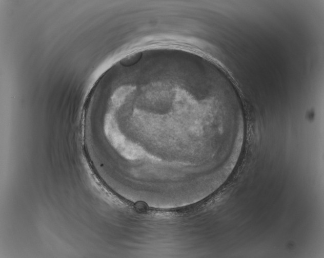 X0000115301522200911301502