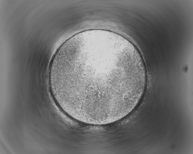 X0000115301525200911301502