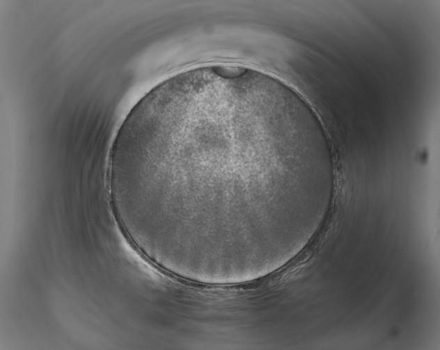 X0000115301527200911301502