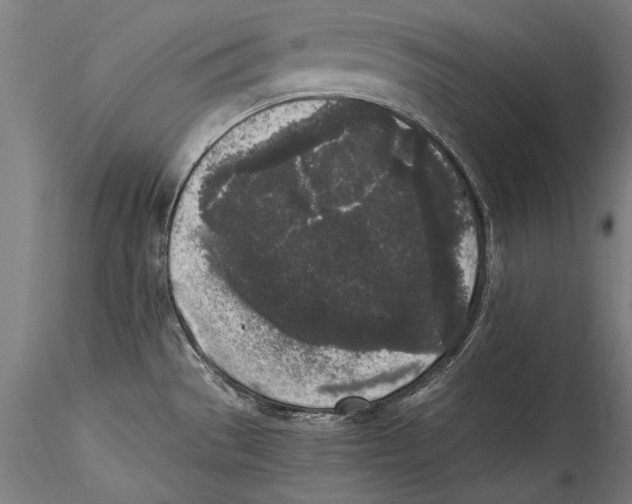 X0000115301529200911301502