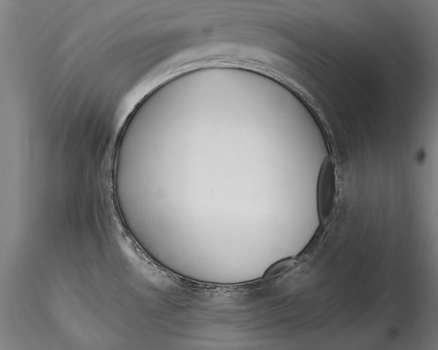 X0000115301530200911301502