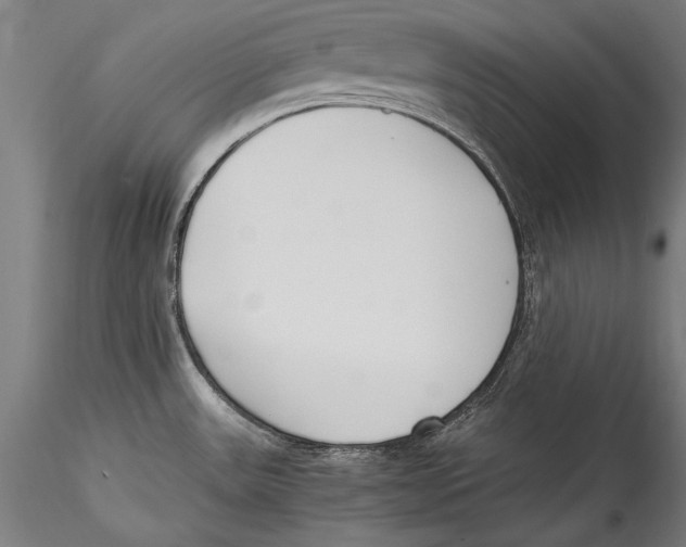 X0000115301531200911301502