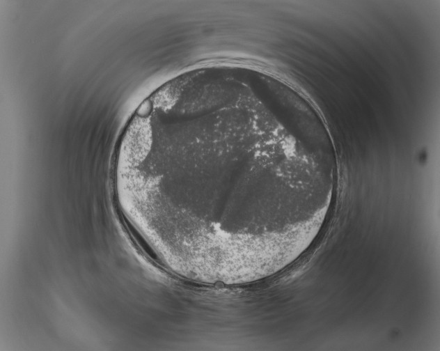 X0000115301533200911301502