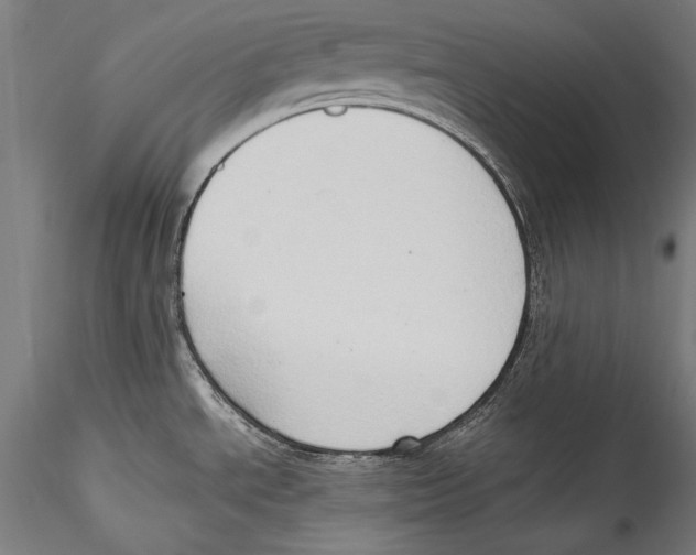 X0000115301534200911301502