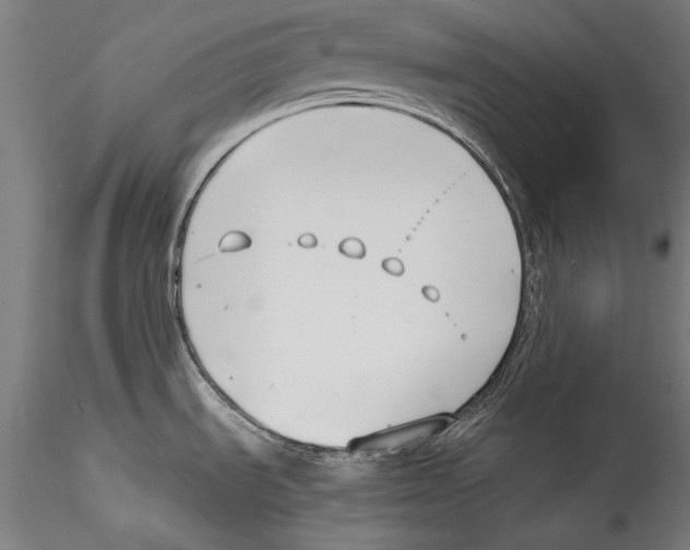 X0000115301535200911301502