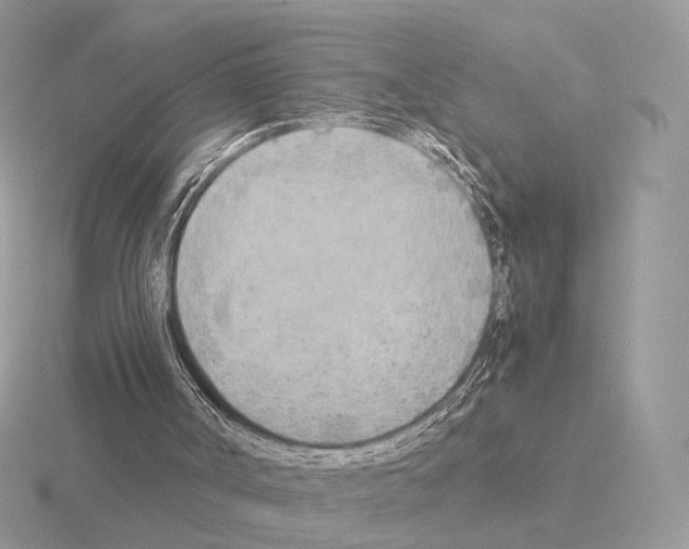 X0000115300002200912141126