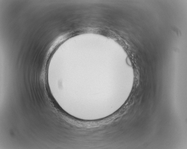 X0000115300006200912141126