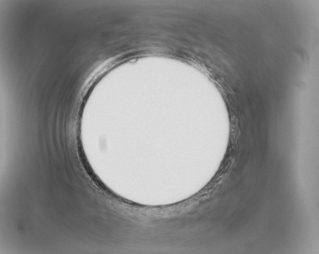 X0000115300007200912141126