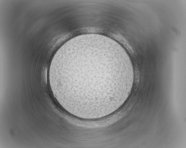 X0000115300014200912141126