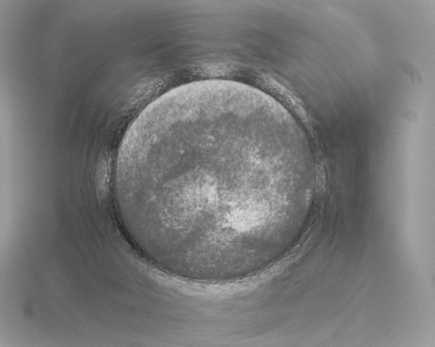 X0000115300018200912141126