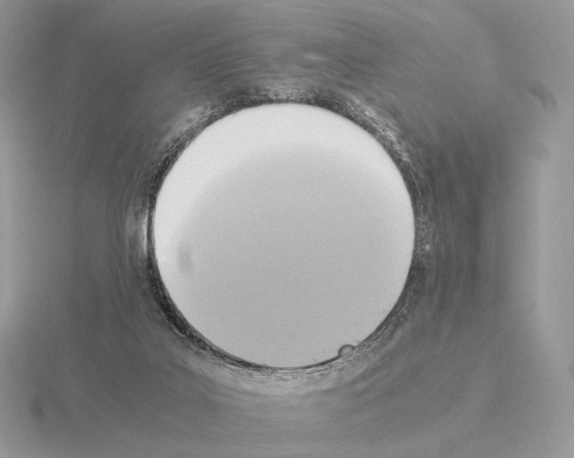 X0000115300019200912141125