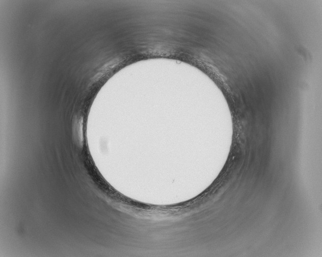 X0000115300020200912141125