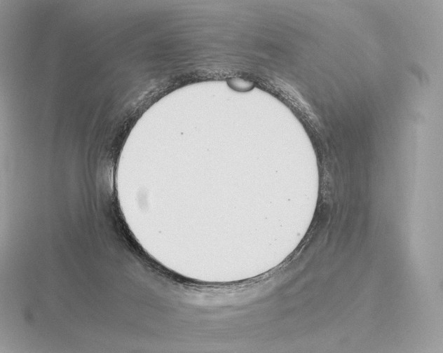X0000115300021200912141125