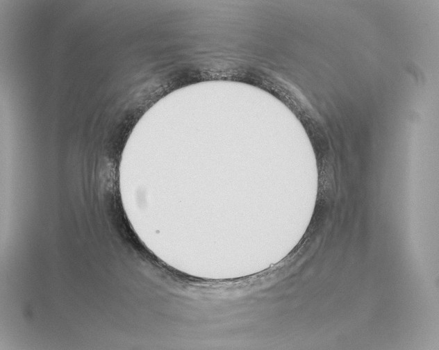 X0000115300025200912141125