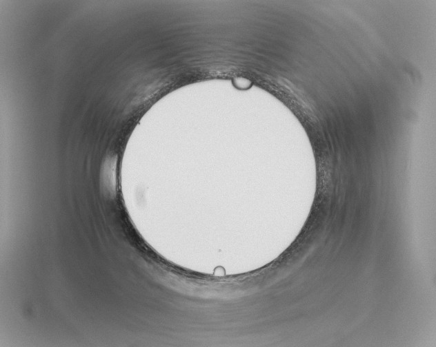 X0000115300028200912141125
