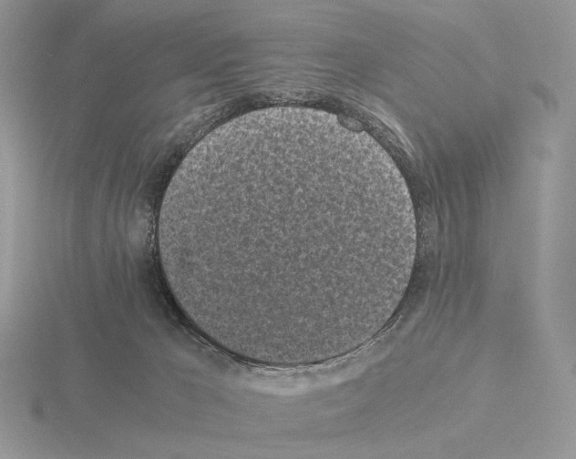 X0000115300029200912141125