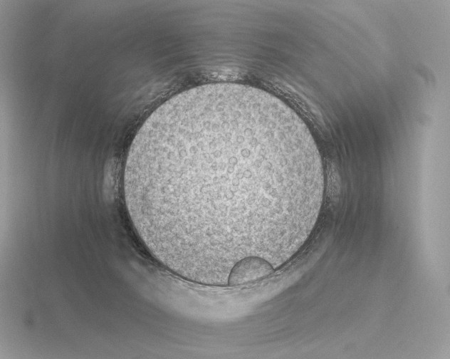 X0000115300030200912141125
