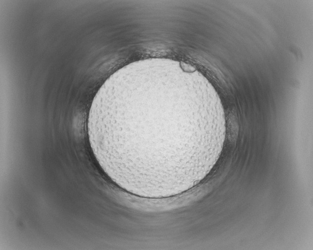 X0000115300034200912141125