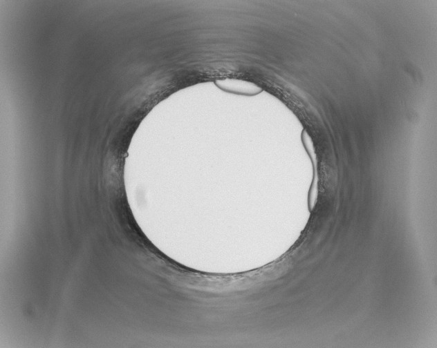 X0000115300037200912141125