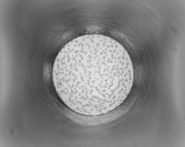 X0000115300038200912141125