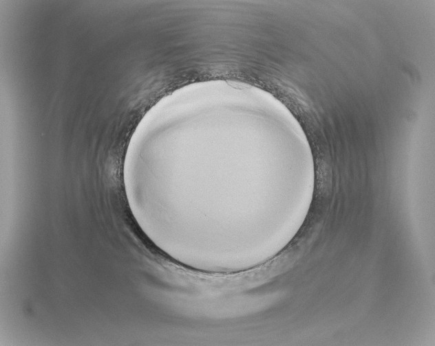 X0000115300039200912141125