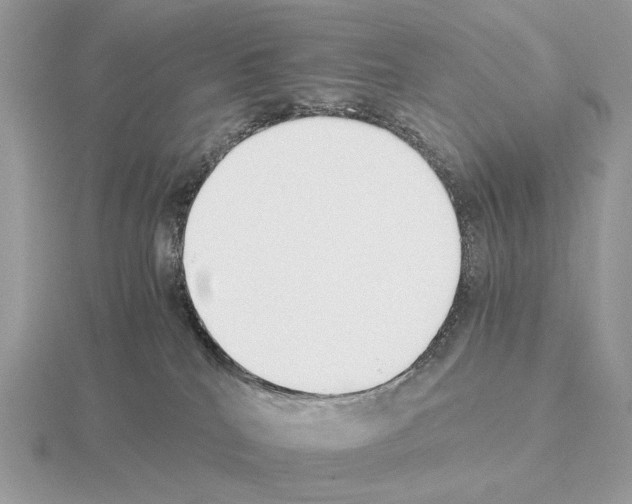 X0000115300040200912141125